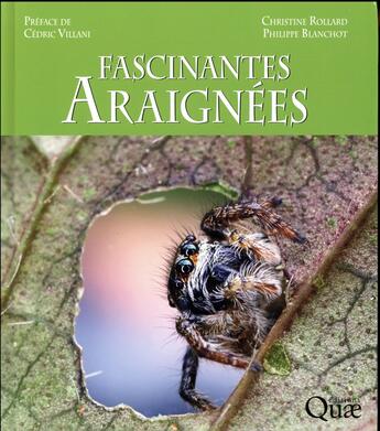 Couverture du livre « Fascinantes araignées » de Christine Rollard et Philippe Blanchot aux éditions Quae