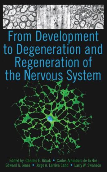 Couverture du livre « From Development to Degeneration and Regeneration of the Nervous Syste » de Charles E Ribak Phd aux éditions Oxford University Press Usa