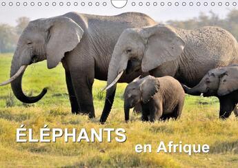 Couverture du livre « Elephants en afrique (calendrier mural 2018 din a4 horizontal) - les elephants d'afrique sont imposa » de Feuerer Juergen aux éditions Calvendo