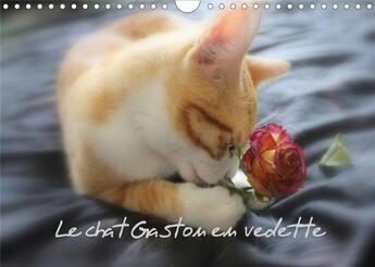 Couverture du livre « Le chat Gaston en vedette (Calendrier mural 2020 DIN A4 horizontal) ; Photos inédites de Gaston le chat (Calendrier mensuel, 14 Pages ) » de Thierry Brillard aux éditions Calvendo