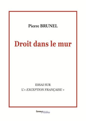 Couverture du livre « Droit dans le mur » de Pierre Brunel aux éditions Melibee