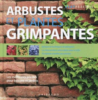 Couverture du livre « Arbustes et plantes grimpantes ; les meilleures plantes pour balcons et jardins » de Domenico Cattaneo Vicini aux éditions Gribaudo