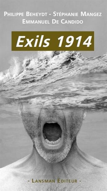 Couverture du livre « Exils 1914 » de  aux éditions Lansman