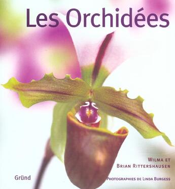 Couverture du livre « Les Orchidees » de  aux éditions Grund