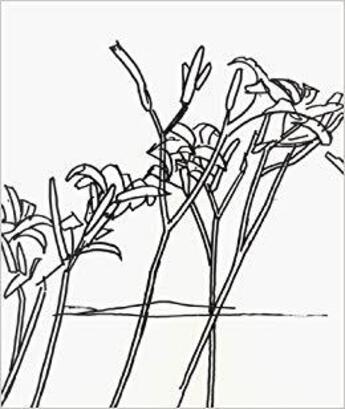 Couverture du livre « Alex Katz & Robert Creeley Edges » de James Merlin aux éditions Dap Artbook