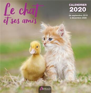 Couverture du livre « Calendrier chat et ses amis (2020) » de  aux éditions Artemis