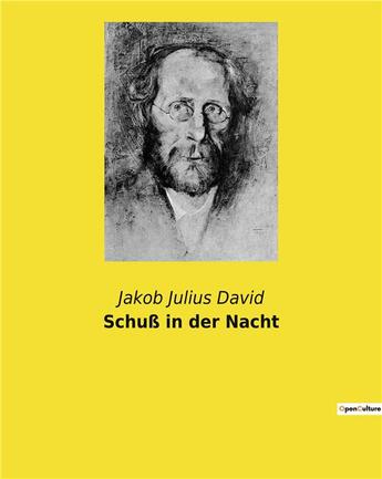 Couverture du livre « Schuss in der nacht » de David Jakob Julius aux éditions Culturea