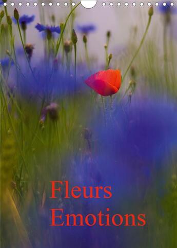 Couverture du livre « Fleurs emotions calendrier mural 2020 din a4 vertical - fragile beaute calendrier mens » de Leroy Veronique aux éditions Calvendo