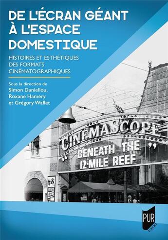 Couverture du livre « De l'ecran geant a l'espace domestique - histoires et esthetiques des formats cinematographiques » de Daniellou/Hamery aux éditions Pu De Rennes