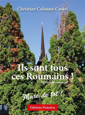 Couverture du livre « Ils sont fous ces Roumains ! l'eldorado roumain » de Christine Colonna-Cesari aux éditions Editions Piatnitsa