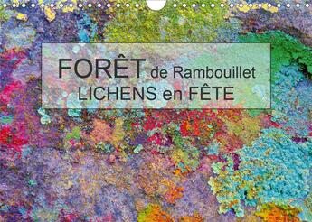 Couverture du livre « Forêt de Rambouillet - Lichens en Fête (Calendrier mural 2020 DIN A4 horizontal) ; Dans la Forêt de Rambouillet, grâce à la profusion de lichen : l'abstraction est aux coins des bois ! (Calendrier mensuel, 14 Pages ) » de Jean-Luc Bohin aux éditions Calvendo