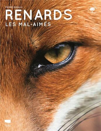 Couverture du livre « Renards : les mal-aimés » de Pierre Rigaux aux éditions Delachaux & Niestle