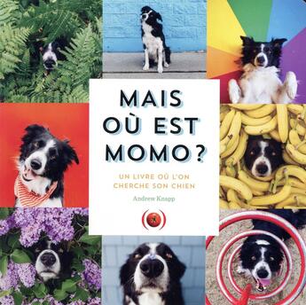 Couverture du livre « Mais où est momo ? un livre où l'on cherche son chien » de Andrew Knapp aux éditions Des Grandes Personnes
