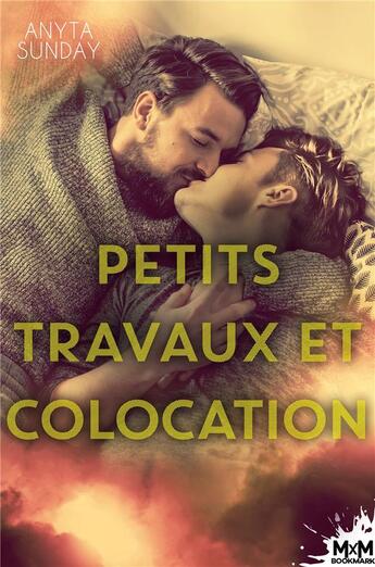 Couverture du livre « Un foyer a construire - t02 - petits travaux et colocation - un foyer a construire, t2 » de Anyta Sunday aux éditions Mxm Bookmark