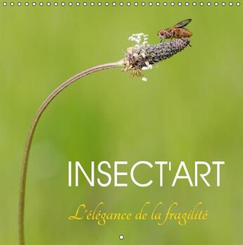 Couverture du livre « Insect'Art (Calendrier mural 2017 300 × 300 mm Square) » de Djamal Makhloufi aux éditions Calvendo