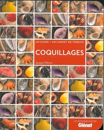 Couverture du livre « Coquillages » de Jacques Pelorce aux éditions Glenat