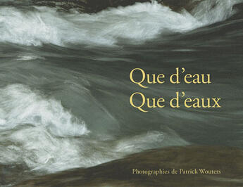 Couverture du livre « Que d'eau, que d'eaux » de Patrick Wouters aux éditions Husson