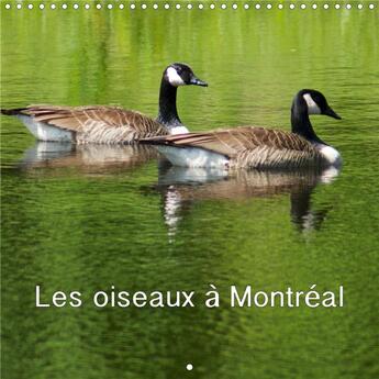 Couverture du livre « Les oiseaux à Montréal (Calendrier mural 2020 300 × 300 mm Square) ; Calendrier mensuel avec des photographies du Canada (Calendrier mensuel, 14 Pages ) » de Philippe Waterloos aux éditions Calvendo