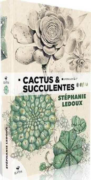 Couverture du livre « Cactus & succulentes » de Stephanie Ledoux aux éditions Elytis