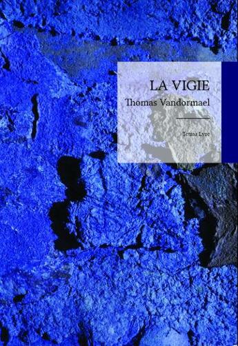 Couverture du livre « La vigie » de Thomas Vandormael aux éditions Tetras Lyre