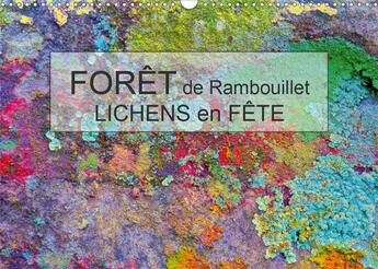 Couverture du livre « Forêt de Rambouillet - Lichens en Fête (Calendrier mural 2020 DIN A3 horizontal) ; Dans la Forêt de Rambouillet, grâce à la profusion de lichen : l'abstraction est aux coins des bois ! (Calendrier mensuel, 14 Pages ) » de Jean-Luc Bohin aux éditions Calvendo