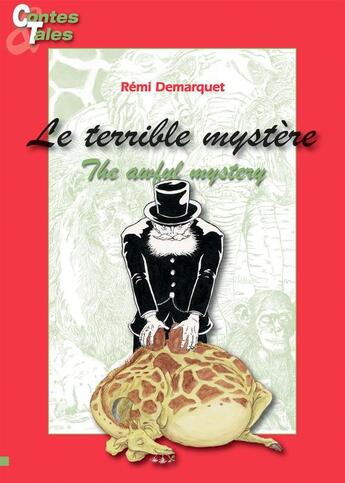 Couverture du livre « Le terrible mystère ; the awful mystery » de Remi Demarquet aux éditions Ipagine