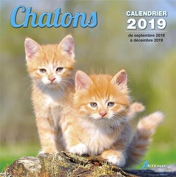 Couverture du livre « Chatons (2019) » de  aux éditions Artemis