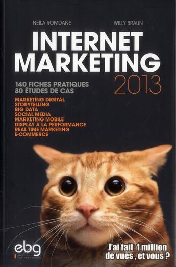 Couverture du livre « Internet Marketing 2013. 140 Fiches Pratiques. 80 Etudes De Cas. » de Romdane/Braun aux éditions Elenbi