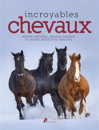 Couverture du livre « Incroyables chevaux » de Mullen G. aux éditions Artemis