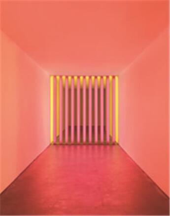 Couverture du livre « Dan flavin corners barriers and corridors » de Michael Auping aux éditions David Zwirner