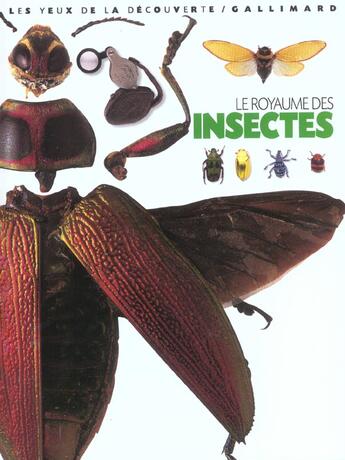 Couverture du livre « Le royaume des insectes » de Laurence Mound aux éditions Gallimard-jeunesse