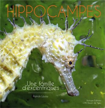 Couverture du livre « Hippocampes ; une famille d'excentriques » de Patrick Louisy aux éditions Biotope