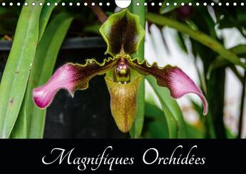 Couverture du livre « Belles photographies d orchide » de Woehlke Juergen aux éditions Calvendo