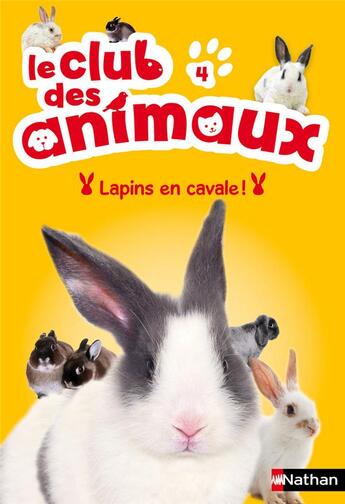 Couverture du livre « Le club des animaux ; lapins en cavale ! » de Christelle Chatel aux éditions Nathan