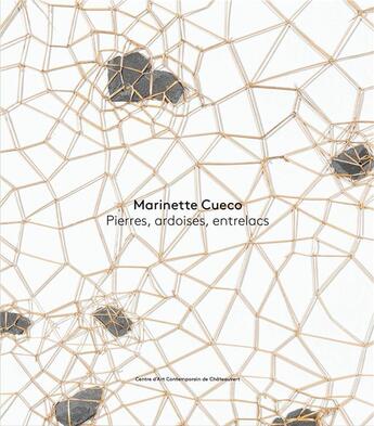 Couverture du livre « Marinette Cueco ; pierres, ardoises, entrelacs » de  aux éditions Lienart