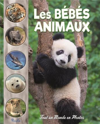 Couverture du livre « Tout un monde en photos ; les bébés animaux » de  aux éditions Piccolia