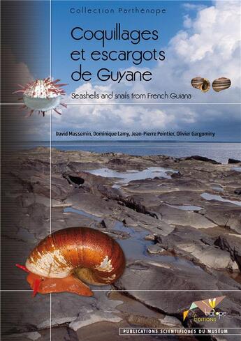 Couverture du livre « Coquillages et escargots de Guyane » de Massemin/Lamy/P aux éditions Biotope