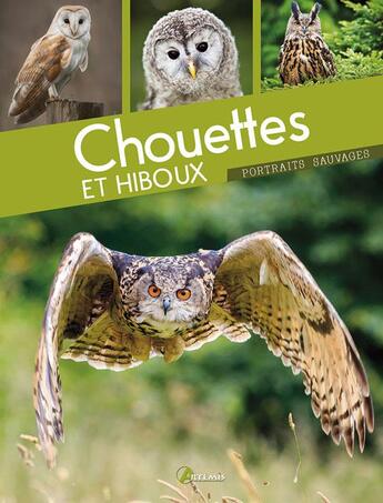 Couverture du livre « Chouettes et hiboux » de Cuisin M aux éditions Artemis