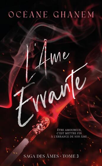 Couverture du livre « La saga des âmes Tome 3 : L'Âme errante » de Oceane Ghanem aux éditions Hlab