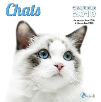 Couverture du livre « Chats (2019) » de  aux éditions Artemis