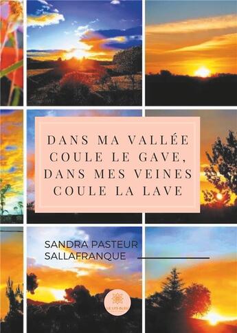 Couverture du livre « Dans ma vallée coule le gave dans mes veines coule la lave » de Sandra Pasteur Sallafranque aux éditions Le Lys Bleu