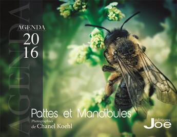 Couverture du livre « Agenda 2016 ; pattes et mandibules » de Chanel Koehl aux éditions Anovi