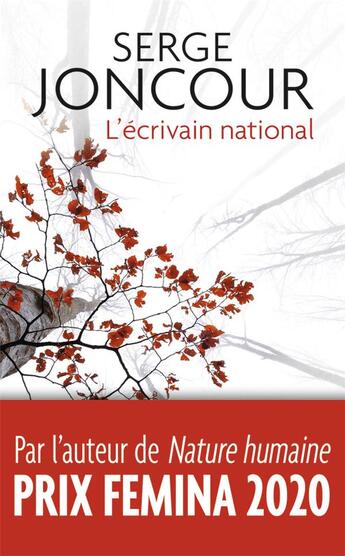 Couverture du livre « L'écrivain national » de Serge Joncour aux éditions J'ai Lu