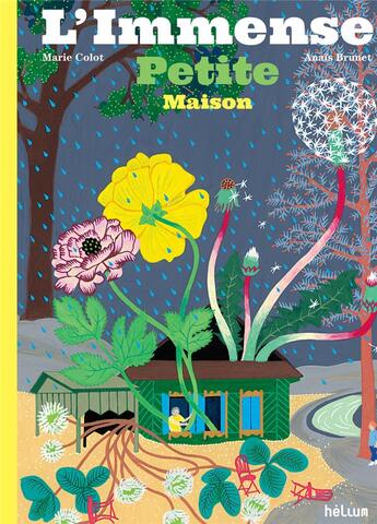 Couverture du livre « L'immense petite maison » de Marie Colot et Anais Brunet aux éditions Helium