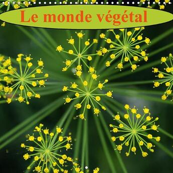 Couverture du livre « Le monde végétal (calendrier mural 2017 300 × 300 mm Square); fleurs et flore, un feu d'artifice de couleurs » de Didier Sibourg aux éditions Calvendo