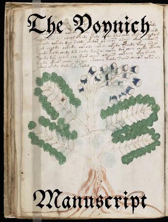 Couverture du livre « The Voynich Manuscript » de  aux éditions E-artnow