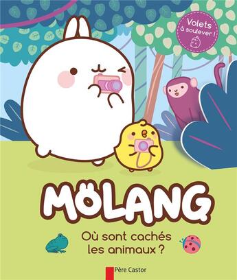 Couverture du livre « Où sont cachés les animaux ? » de Hye-Ji Yoon et Marie Manand aux éditions Pere Castor