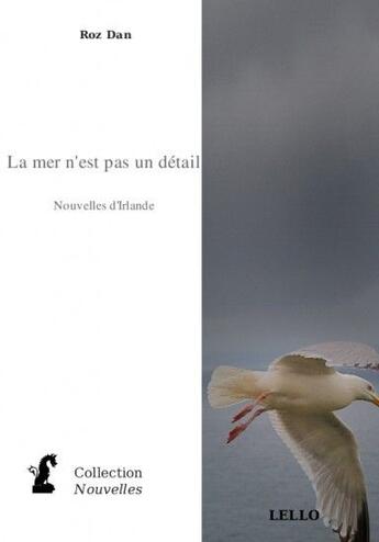 Couverture du livre « La mer n'est pas un détail ; nouvelles d'Irlande » de Dan Roz aux éditions La Librairie.org