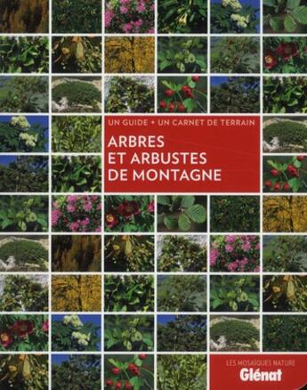 Couverture du livre « Arbres et arbustes de montagne » de Sandrine Stefaniak aux éditions Glenat