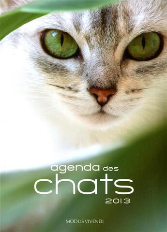 Couverture du livre « Agenda des chats (2013) » de  aux éditions Modus Vivendi
